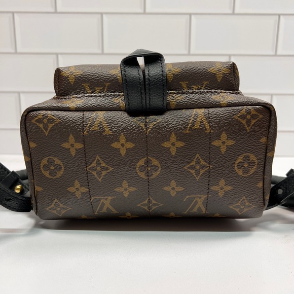 LV Louis Vuitton Palm Springs Spring Backpack Bag - Picture 4 of 11